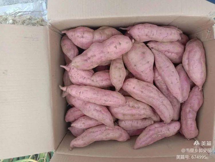 包含墨西哥联赛热火朝天，慷慨解囊踏进胜利的词条