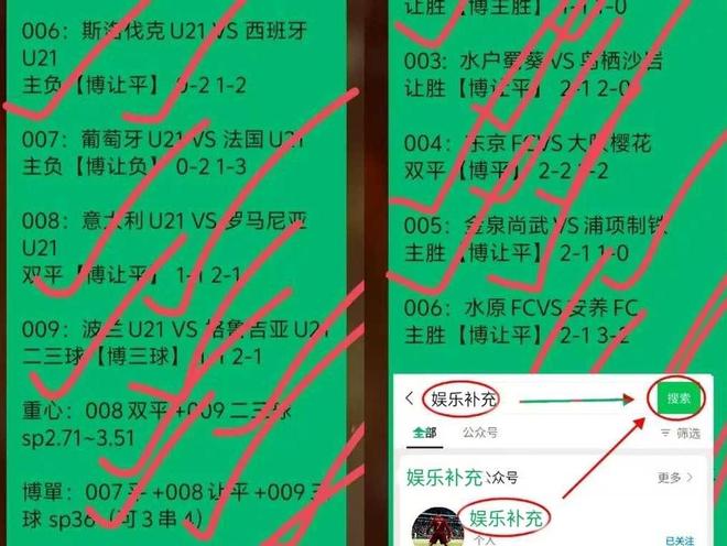 雄豹队表现出色，主场取得胜利暂居榜首
